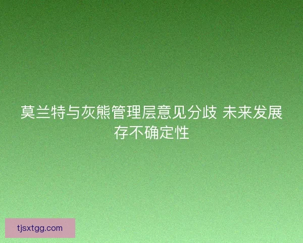 莫兰特与灰熊管理层意见分歧 未来发展存不确定性